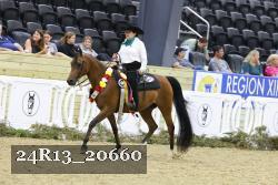 24R13_20660 thumbnail