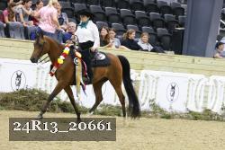 24R13_20661 thumbnail