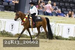 24R13_20662 thumbnail