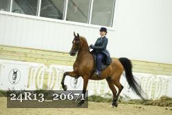 24R13_20671 thumbnail