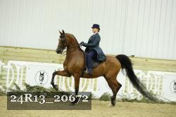 24R13_20672 thumbnail