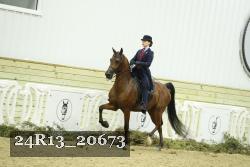 24R13_20673 thumbnail
