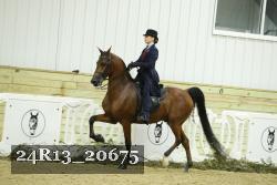 24R13_20675 thumbnail