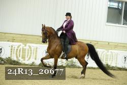 24R13_20677 thumbnail