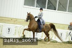 24R13_20678 thumbnail
