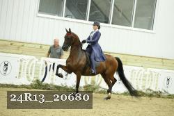 24R13_20680 thumbnail