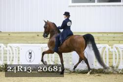 24R13_20681 thumbnail