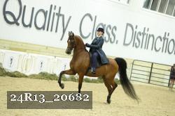 24R13_20682 thumbnail