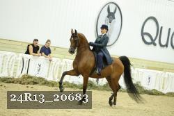 24R13_20683 thumbnail