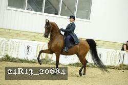 24R13_20684 thumbnail