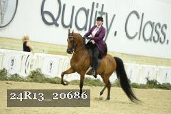 24R13_20686 thumbnail