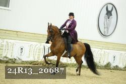 24R13_20687 thumbnail