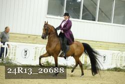 24R13_20688 thumbnail