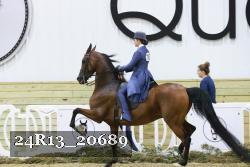 24R13_20689 thumbnail