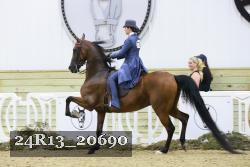 24R13_20690 thumbnail