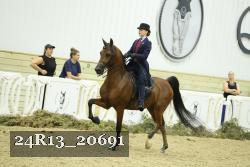 24R13_20691 thumbnail