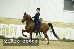 24R13_20693 thumbnail