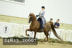24R13_20697 thumbnail