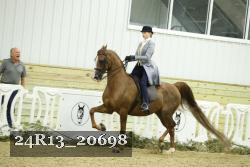 24R13_20698 thumbnail