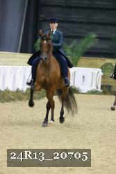 24R13_20705 thumbnail