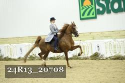 24R13_20708 thumbnail