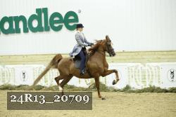 24R13_20709 thumbnail