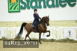 24R13_20711 thumbnail