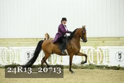 24R13_20713 thumbnail
