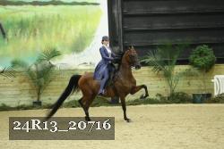 24R13_20716 thumbnail