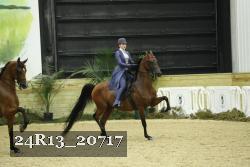 24R13_20717 thumbnail