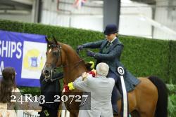 24R13_20727 thumbnail