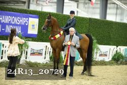 24R13_20729 thumbnail