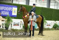 24R13_20730 thumbnail