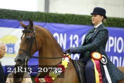 24R13_20732 thumbnail