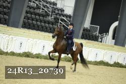 24R13_20739 thumbnail