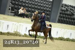 24R13_20740 thumbnail