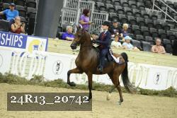 24R13_20742 thumbnail