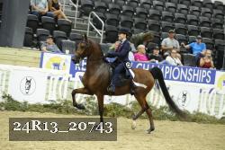 24R13_20743 thumbnail