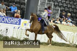 24R13_20744 thumbnail