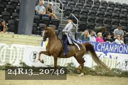 24R13_20746 thumbnail