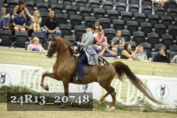 24R13_20748 thumbnail