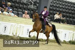 24R13_20750 thumbnail