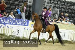 24R13_20751 thumbnail