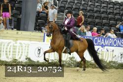 24R13_20752 thumbnail