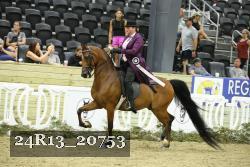 24R13_20753 thumbnail