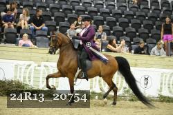 24R13_20754 thumbnail