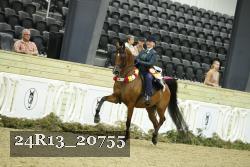 24R13_20755 thumbnail