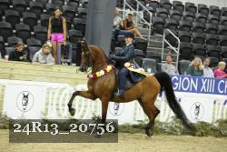 24R13_20756 thumbnail