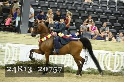 24R13_20757 thumbnail