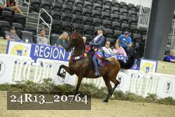 24R13_20764 thumbnail
